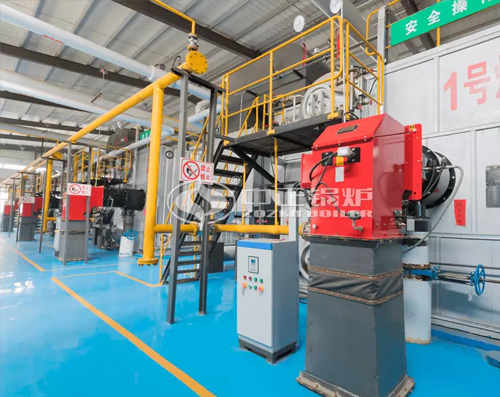 18噸SZS系列冷凝式燃?xì)庹羝仩t項(xiàng)目（錦寶石集團(tuán)）